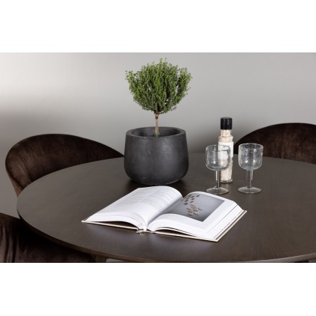 Rundt Spisebordssæt Kaseindon med stole Evening