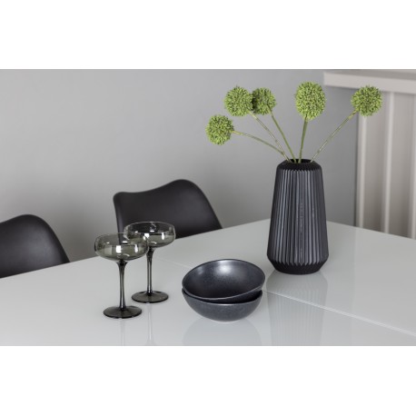 Spisebordssæt Pluto med Spisebordsstole Zeno - Sort og Hvid