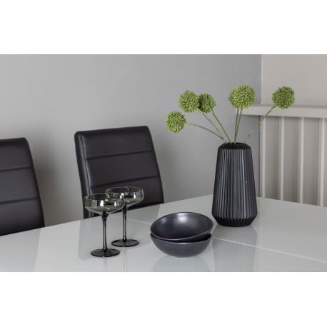 Spisebordssæt Pluto med Tempo Spisebordsstole - Sort og Hvid