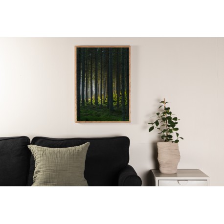 Skov Plakat - Sort og Grøn