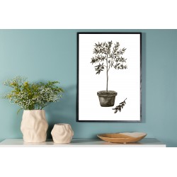 Olive Plakat - Grøn og Hvid