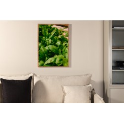 Gree blad Plakat - Grøn