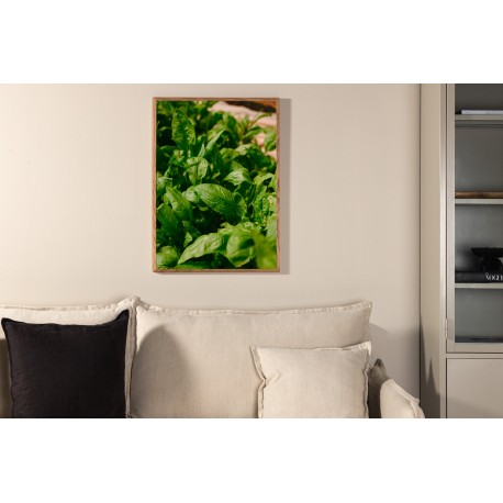 Gree blad Plakat - Grøn